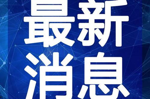 张家界吃瓜爆料视频最新,揭秘网红打卡地背后的真实故事